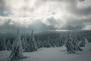 Typical weather, clouds and sun above the snow fields - backcountry skiing in Jeseniky mountains
