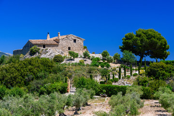 Fototapeta na wymiar Domek na wzgórzu z gajem oliwnym