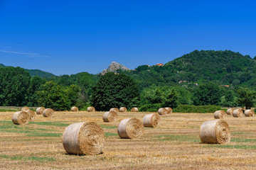 Żniwa. Bele słomy na ściernisku na tle gór.  © TOP67