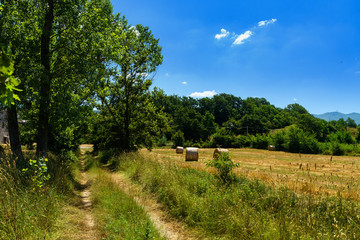 Fototapeta na wymiar Polna droga w cieniu drzew obok ścierniska z belami słomy