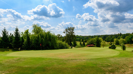 Fototapeta na wymiar Green na polu golfowym