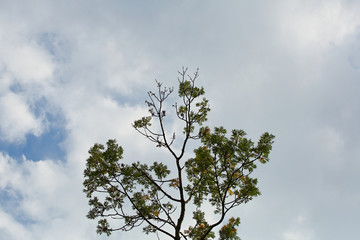 Picturesque textured clouds in the sky at the daytime