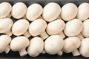 Bowl of fresh mushroom isolated on white background. top view