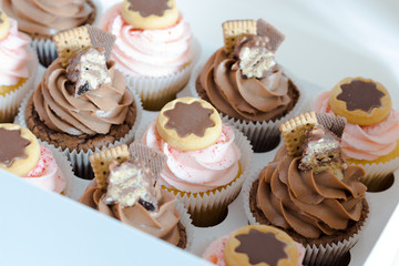 set of cupcakes in a white box