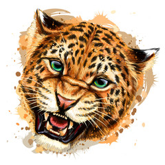 Growling leopard. Color, hand-drawn portrait of a growling leopard on a white background. Watercolor splashes.