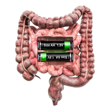 Human bowel with batteries. Recovery and treatment concept. 3D rendering