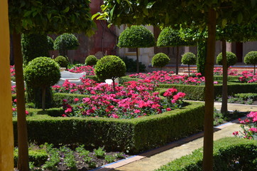 Obraz premium garden+flowers