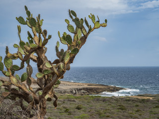 christofel National park Curacao