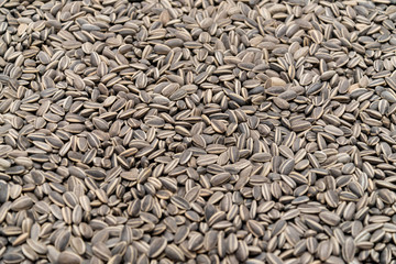 Heap, group or pile of sun flower seed background cover entire picture. 