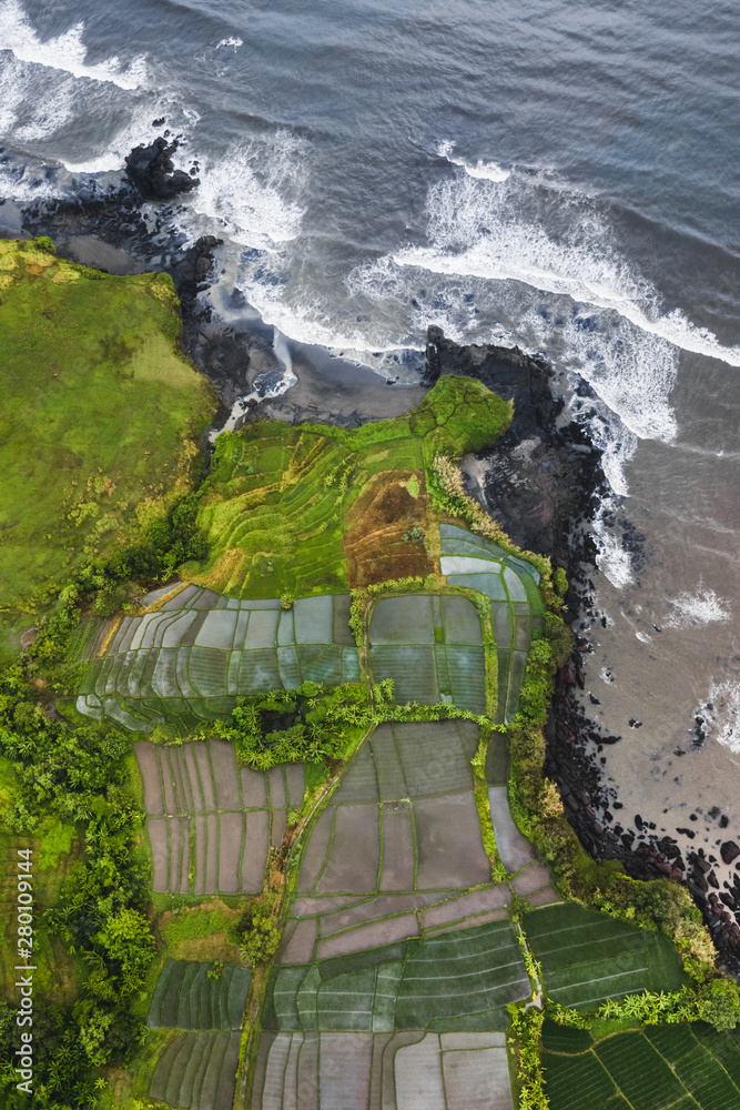 Wall mural aerial view of scenery rice terraces on ocean coast in bali, indonesia - Wall murals