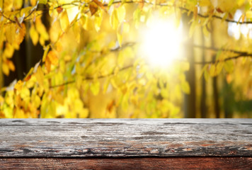 Naklejka na ściany i meble Empty wooden table background - Autumn theme
