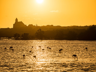 Sunset at the Jan Kok salt pan on the Caribbean island of Curacao