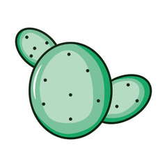cactu plant exotic isolated icon