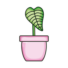 ecology leaf plant in ceramic pot