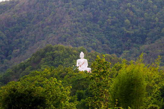 White Buddha Sculpture Among the green trees