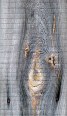 supernatural bizarre alien face of knots on textured wood plank