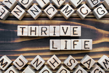 thrive life - phrase from wooden blocks with letters, *** concept, random letters around, top view on wooden background