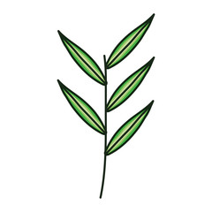 branch with leafs plant ecology icon