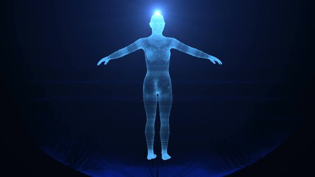 Human body wired and connected. Female shape outline rotating.