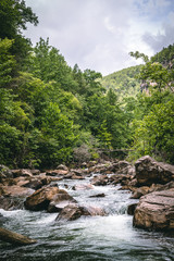 rapids