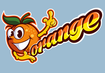 Cartoon style orange fruit, vector image.