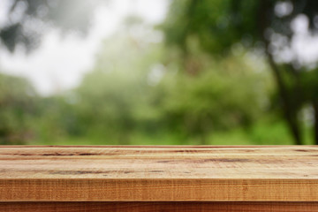Empty wooden table and blurred nature garden background. 
