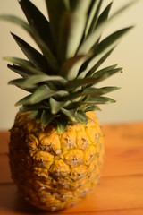 corona de piña en primer plano fruta tropical piña