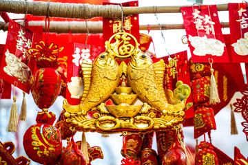 chinese year of pig