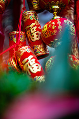 chinese year of pig