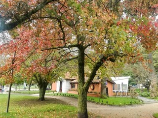 Naklejka premium ZK.photography-29