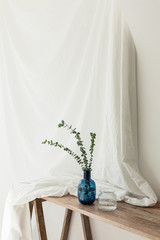 White room interior with plants