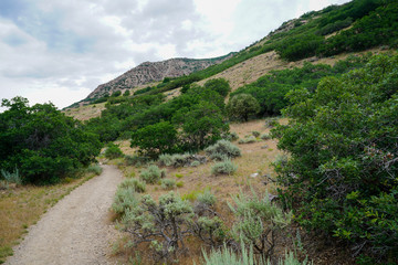 Fototapeta na wymiar Hiking along Waterfall Canyon Trail near Ogden, Utah