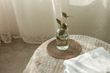 White room interior with plants