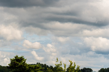 Obraz premium Stormy sky over a treetops, clouds in various shades of grey with a hint of blue sky