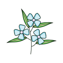 beautiful flowers and leafs garden decorative