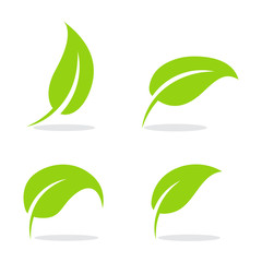 Leaf logo vector Illustration design template - Vector