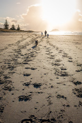 adult, two children and dog walking away from camera down the beach at sunset
