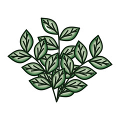 plant nature ecology isolated icon
