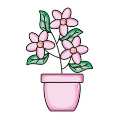 beautiful flowers garden in ceramic pot