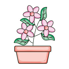 beautiful flowers garden in square ceramic pot