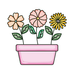 beautiful flowers garden in square ceramic pot