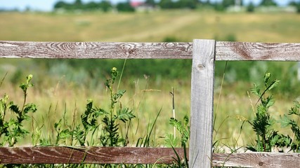 close up on rusty aged wooden fence in a filed