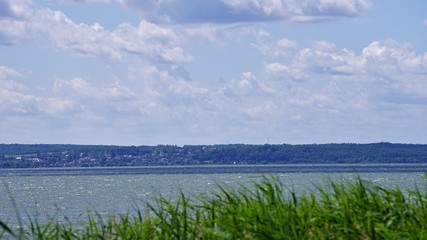 Fototapeta na wymiar waving green reed by blue water view