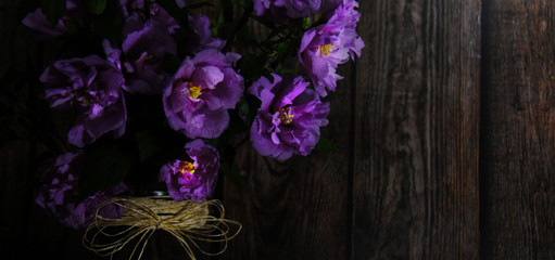 Beautiful blooming hibiscus flower.