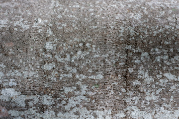 Nature surface of old wood for background.