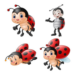 Cartoon funny ladybug illustration collections © ekyaky