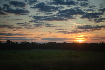 Fototapeta na wymiar Open fields of green with sunset