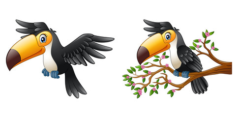 Vector illustration of Cartoon funny toucan collections © ekyaky