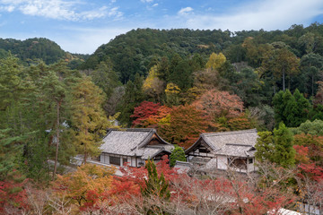 Kyoto, Japan - autumn leaves at Nanzen-ji temple