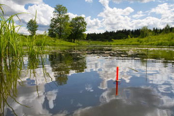 the tip of the fishing float sits vertically in the water of the lake overgrown with grass